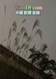 隐秘运送